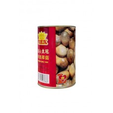 REX STRAW MUSHROOM 425G